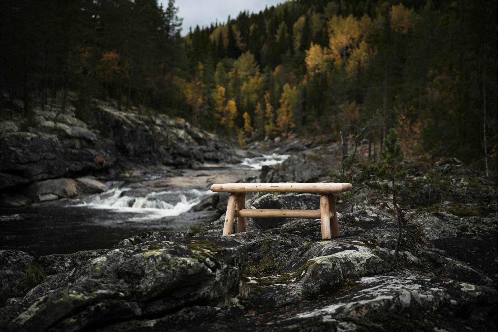 Log Penkki 120