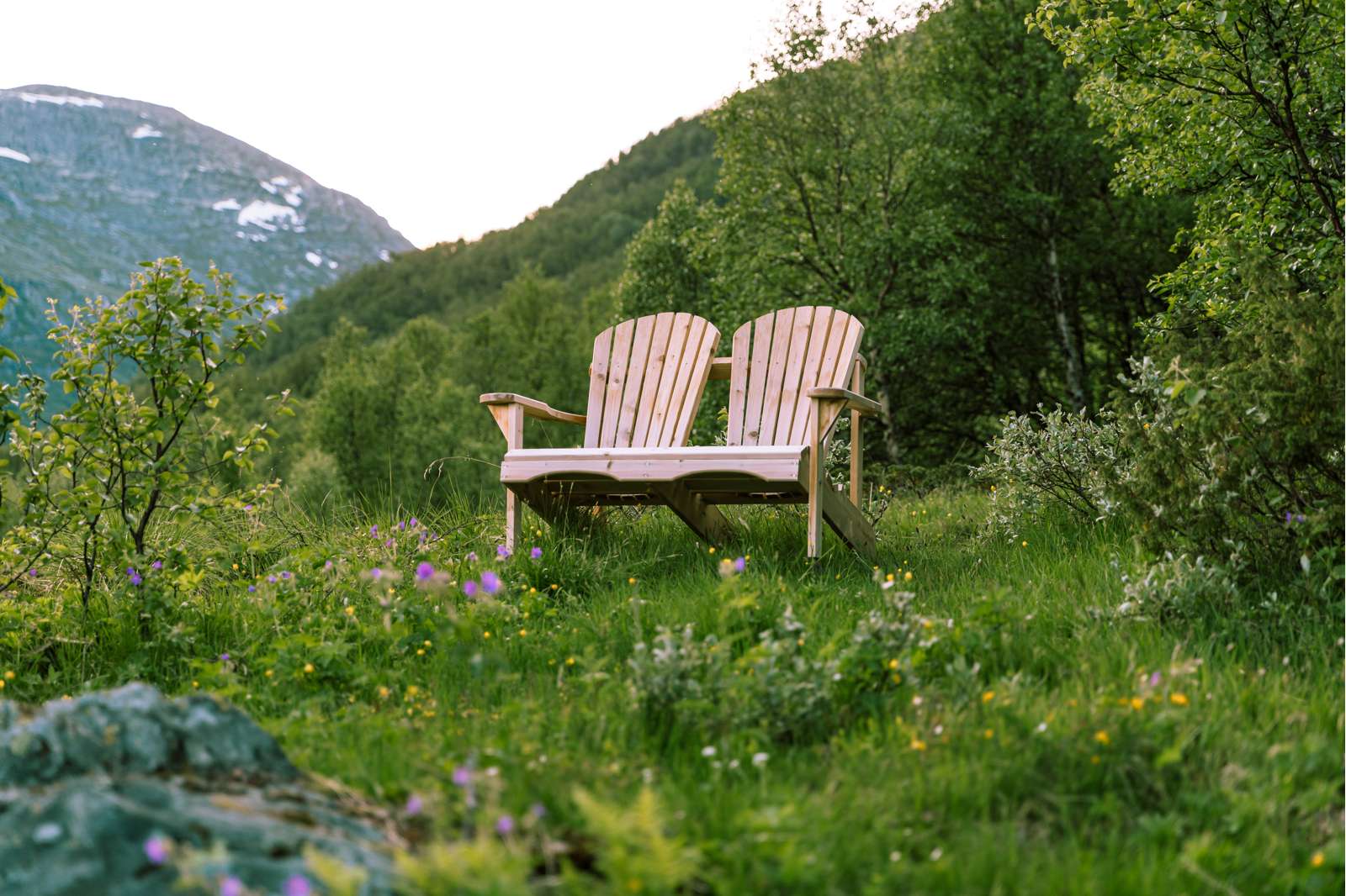Classic Adirondack Kahdenistuttava