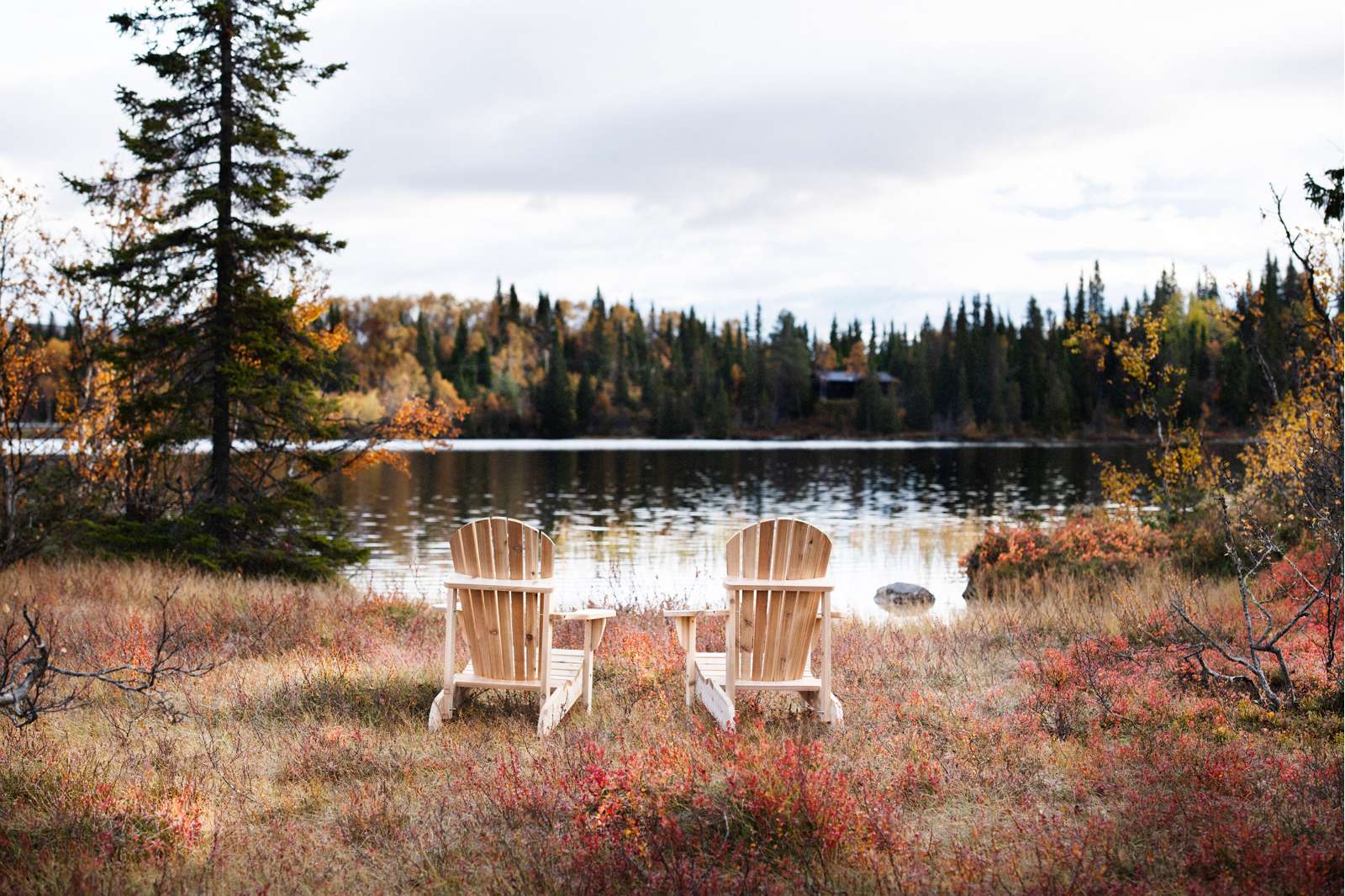 Classic Adirondack Puutarhatuoli